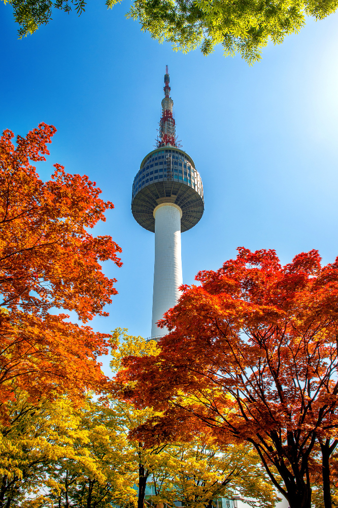 La tour de Séoul et les feuilles d'érable d'automne rouge à la montagne Namsan en Corée du Sud